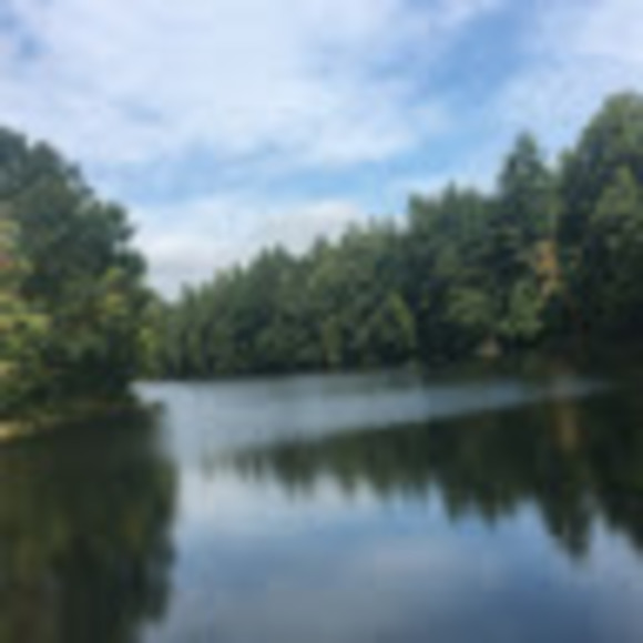 Meet your Posher, Josh - Picture 1 of 1